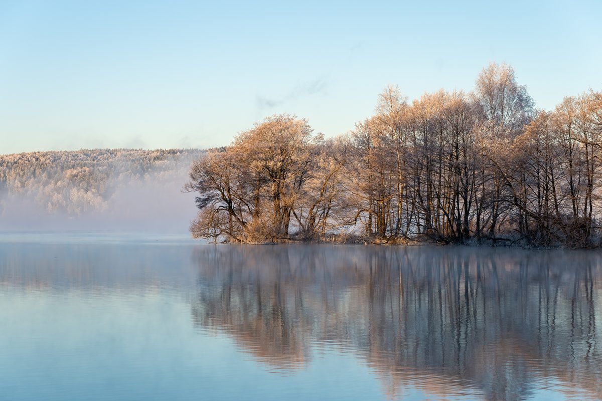 A still lake at dawn with mist and leafless trees reflected in the water