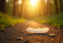 White feather on a peaceful forest path symbolizing spiritual meaning of feathers