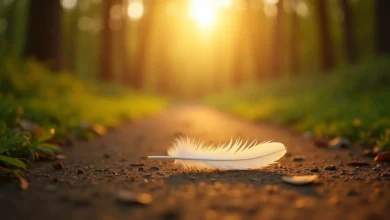 White feather on a peaceful forest path symbolizing spiritual meaning of feathers