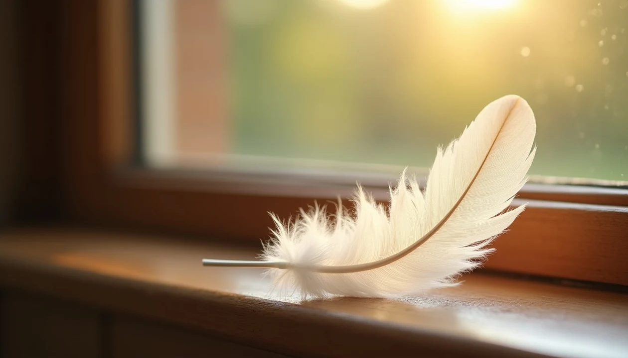 White feather on a sunny windowsill representing angel signs and spiritual guidance